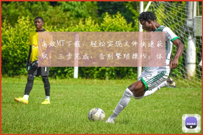 高效MT下载，轻松实现文件快速获取，三步完成，告别繁琐操作，体验便捷