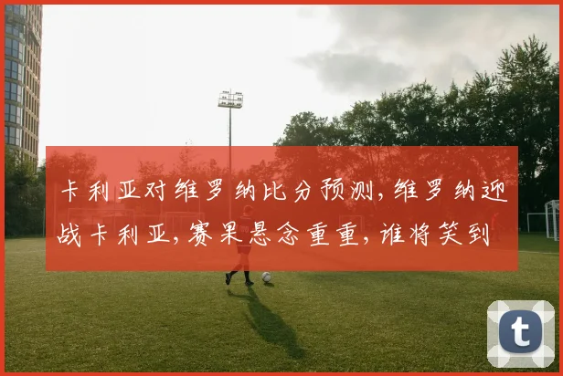 卡利亚对维罗纳比分预测,维罗纳迎战卡利亚,赛果悬念重重,谁将笑到最后