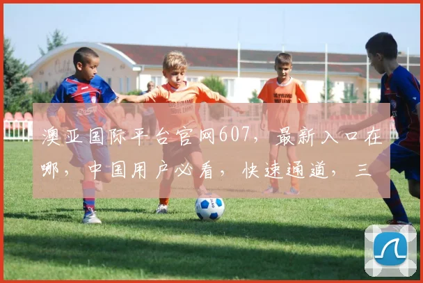 澳亚国际平台官网607，最新入口在哪，中国用户必看，快速通道，三步直达